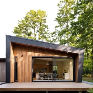 Triangular Treetop Retreat