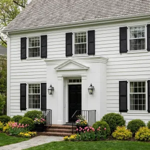 Tulip Lined White Home With Shutters