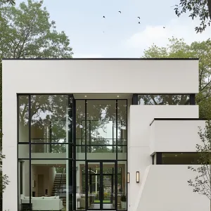 Sleek Serenity in Nature’s Embrace