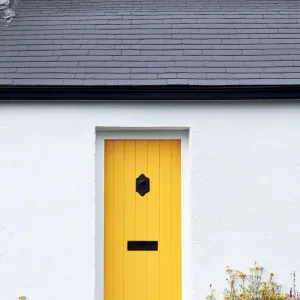 Pale Yellow With a Minimalist White Border