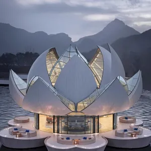 Floating Lotus: A Petal Paradise