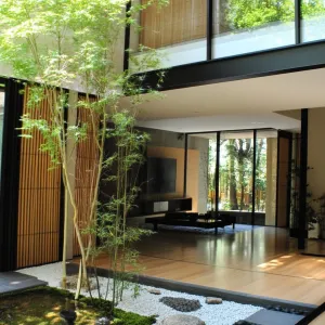 Bamboo Bliss: A Modern Oasis