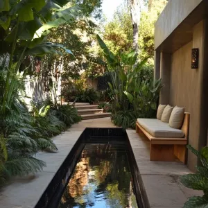 Pathway to Palm Haven
