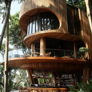 Modern Woodland Oasis
