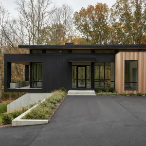 Linear Black Haven With Blonde Wing