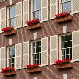 Brick Wonder with Creamy Shutters
