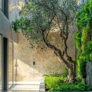 Zen Oasis in the Heart of the Home