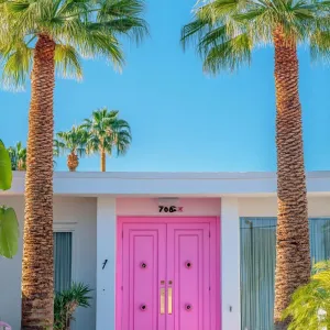 Pink Portal to the Past