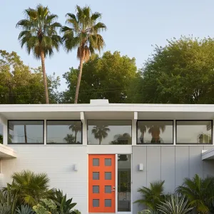 Stepping into a Citrus Wonderland