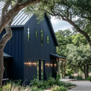 Deep Navy Siding With Black Iron Light Fixtures