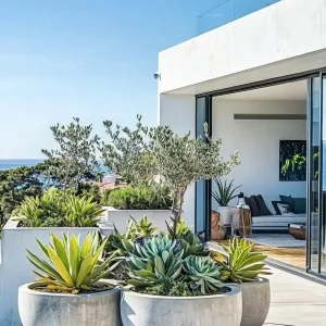 Modern Oasis on the Rooftop