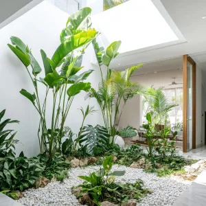 Oasis of Tranquility: Indoor Courtyard Designs