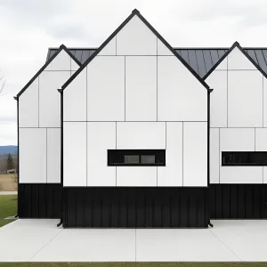 Gabled Noir-White Panel House