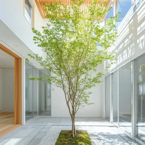 Zen Vibes in Your Living Space