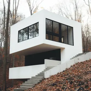 Cube in the Canopy: A Split Level Spectacle