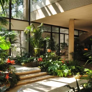 Preview of Luxurious Jungle-Inspired Abode