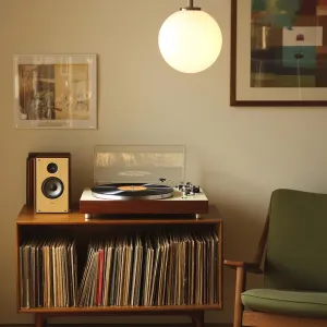 Vinyl Vibes: Spin and Swing