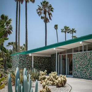 Palm Springs Patterned Paradise