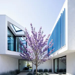 A Tree-mendous Living Space Awaits