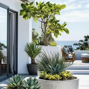 Elegant Outdoor Oasis