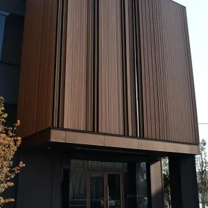 Linear Bronze Beauty