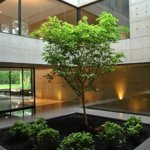 Zen Oasis In Your Living Room