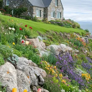 Charming Cottage on a Vibrant Hillside