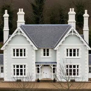 Snow-White Sanctuary Amidst Forest Shadows