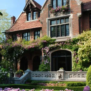 Preview of Manor House Marvel: A Floral Fantasy