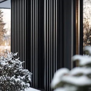 Black Aluminum Facade With Vertical Slats