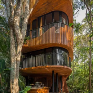 Luxury Loft in the Canopy