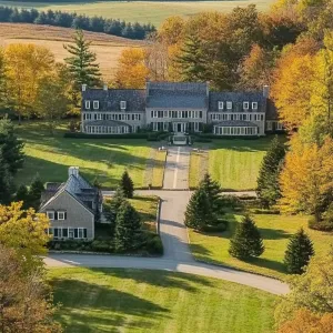 Grand Escape in the Amber Fields
