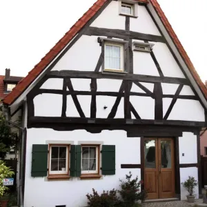 Half-Timbered Fantasy with a Pointy Hat