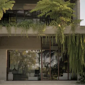 Concrete Canopy Among Leaves