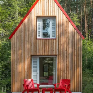 A Dash of Crimson in a Wooden Wonderland