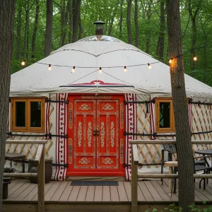 Canvas Kingdom: The Quirky Yurt Haven