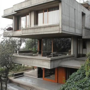 Concrete Jungle Perch