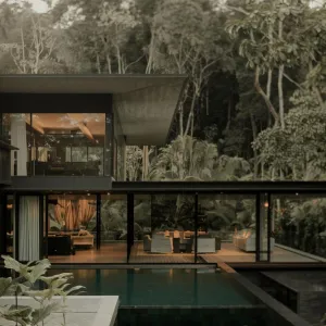 Rainforest Respite: The Leafy Lounge