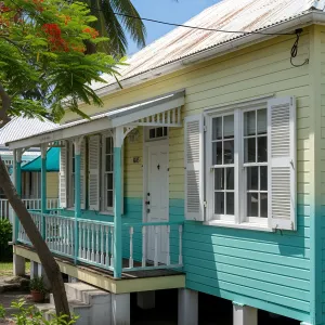 Colorful Caribbean Charmer