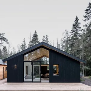 Black Beauty in the Woods