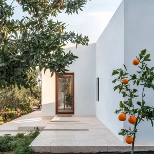 Modern Spanish Splendor with a Zesty Twist