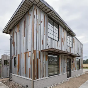 Corrugated Charm: A Steel Facade Affair