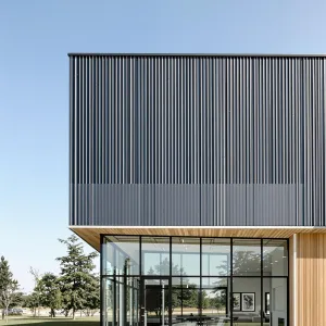 Corrugated Walls and See-Through Marvel