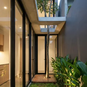 Tree Courtyard Glass Walkway Retreat