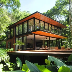 Tropical Treetop Tranquility: The Canopy Connection