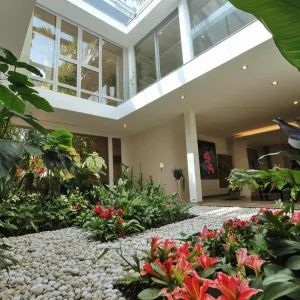 Stunning Indoor Courtyard Oasis