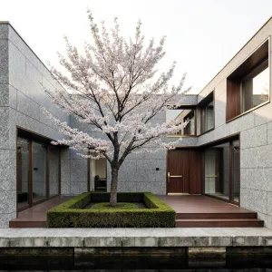 Courtyard Canopy: Blossoms in Balance