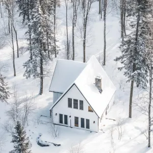 Preview of Winter Wonderland – Cozy White House in the Woods