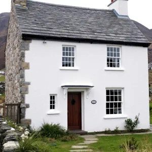 Whitewashed Whimsy in the Irish Wild