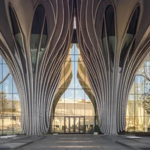 Wavy Wonders: The Curl Castle